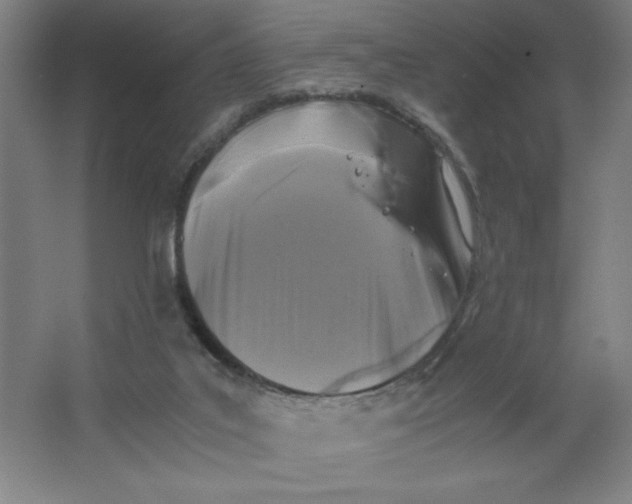 X0000064060019200602101542