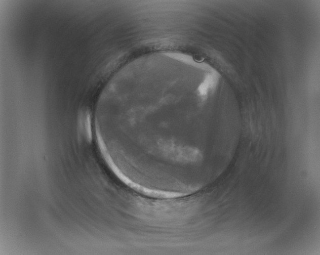 X0000064060022200602101542