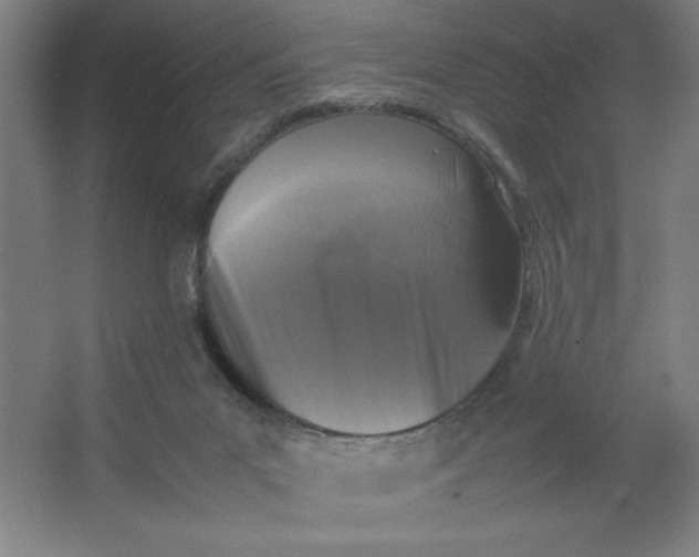 X0000064060023200602101542
