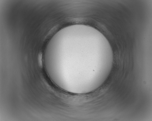 X0000064060024200602101542