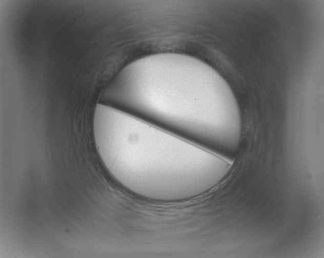 X0000064060025200602101542