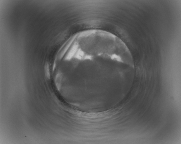 X0000064060026200602101542