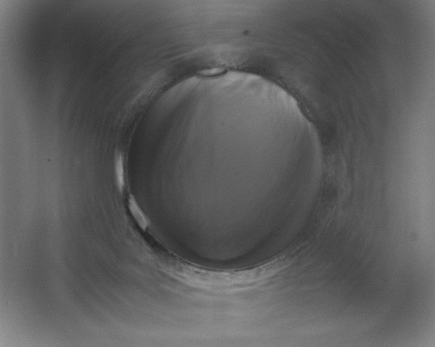 X0000064060027200602101542