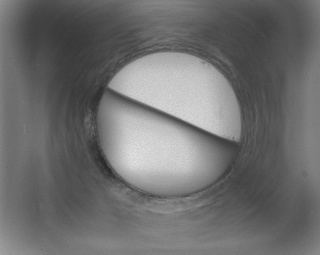 X0000064060029200602101542
