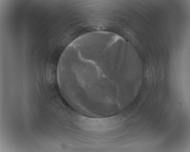 X0000064060030200602101542