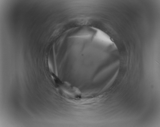 X0000064060035200602101542