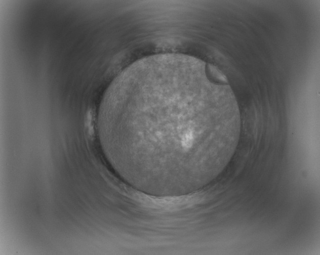 X0000064060038200602101542