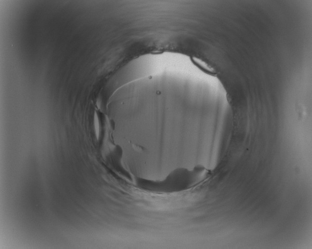 X0000064060039200602101542