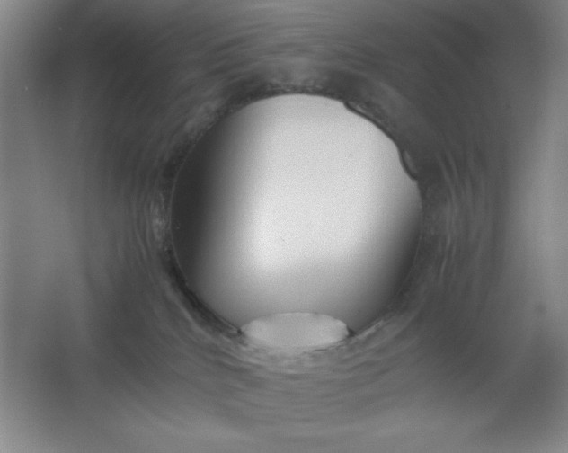 X0000064060040200602101542