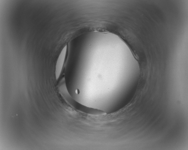 X0000064060041200602101542