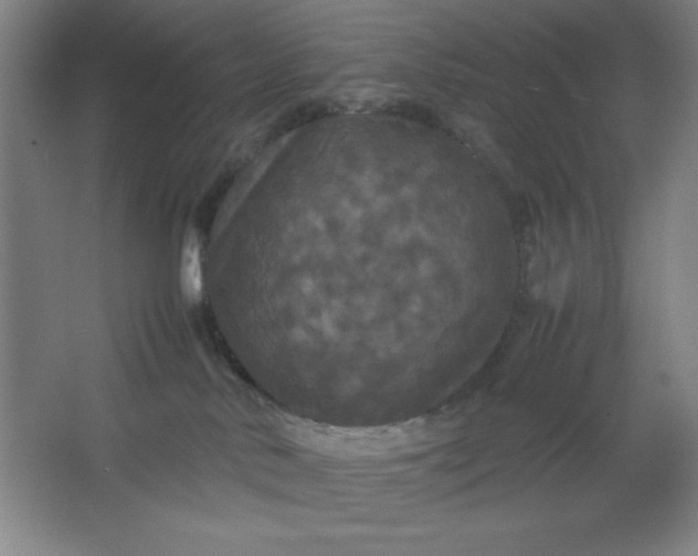 X0000064060042200602101542