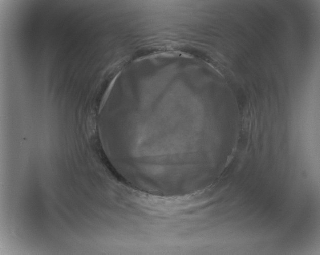X0000064060043200602101541