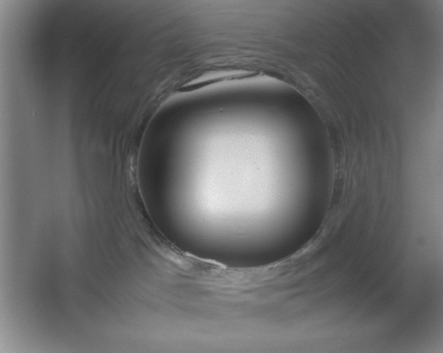 X0000064060045200602101541
