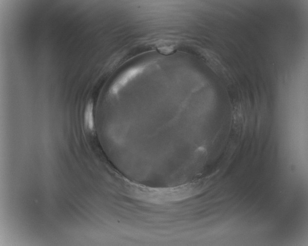 X0000064060046200602101541