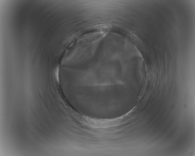 X0000064060047200602101541