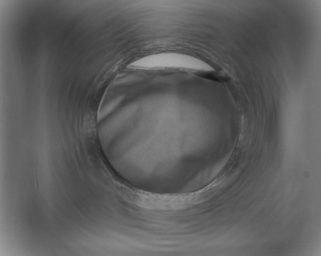 X0000064060048200602101541