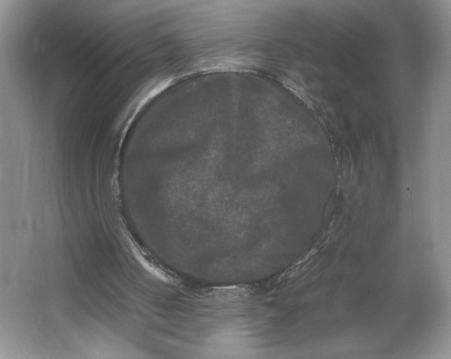 X0000064060050200602101541
