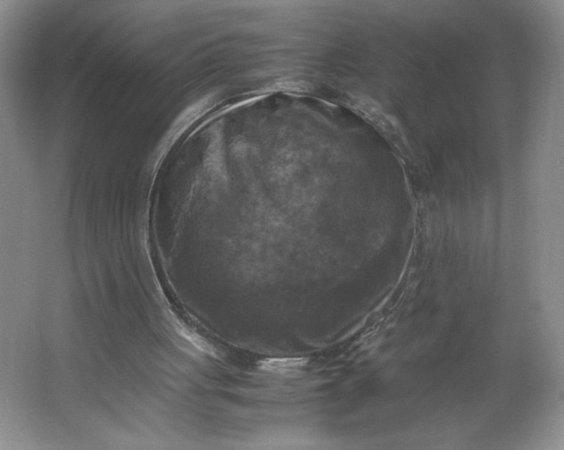 X0000064060051200602101541
