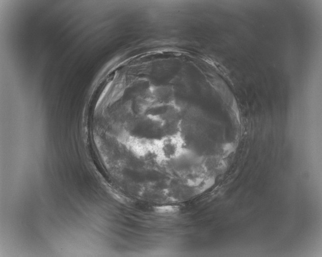 X0000064060053200602101541