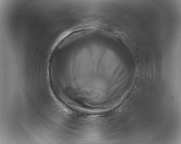 X0000064060054200602101541