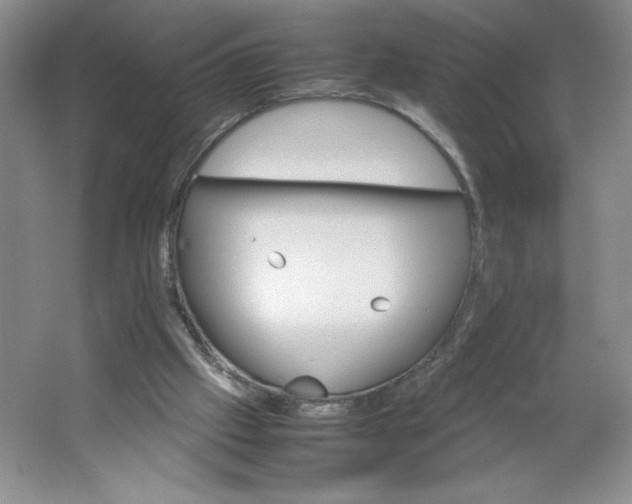 X0000064060057200602101541