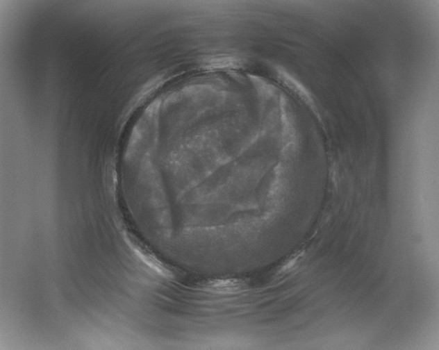 X0000064060059200602101541
