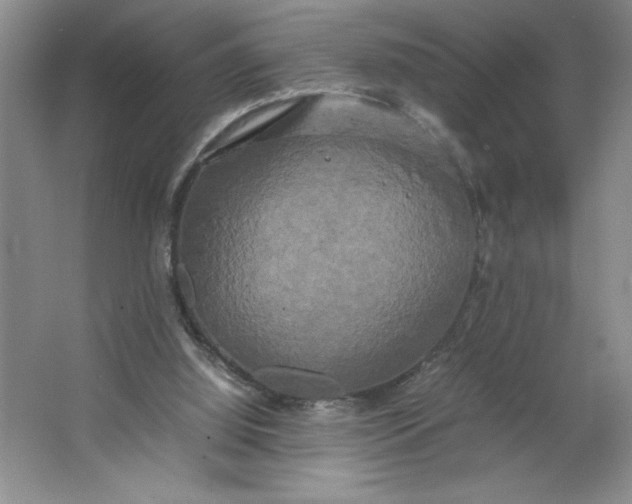 X0000064060060200602101541