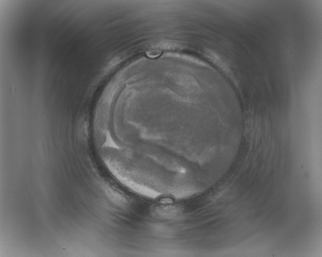 X0000064060063200602101541
