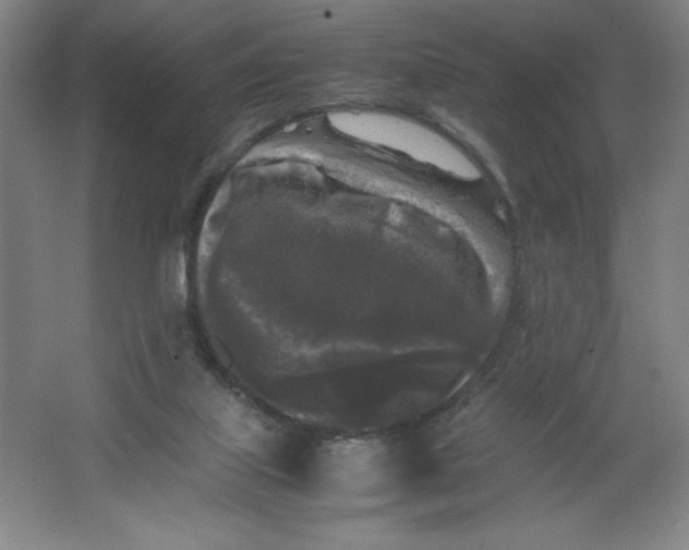 X0000064060067200602101541
