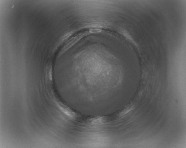 X0000064060068200602101541