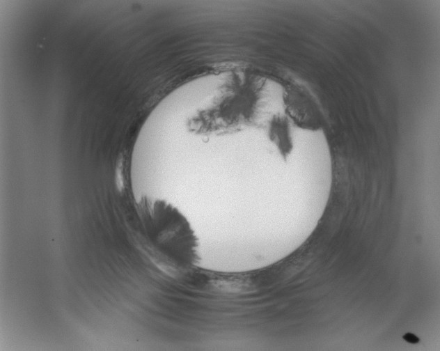 X0000064060069200602101541