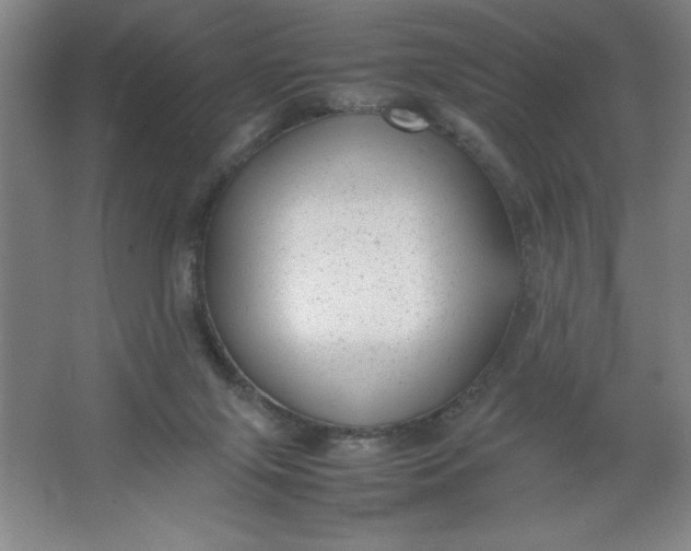 X0000064060071200602101541
