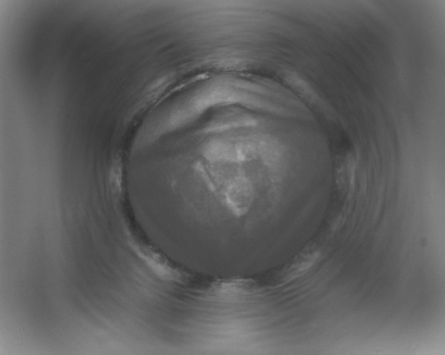 X0000064060072200602101541