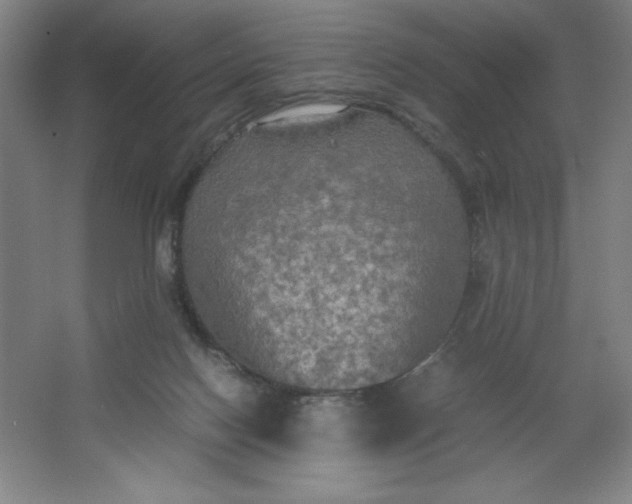 X0000064060074200602101541