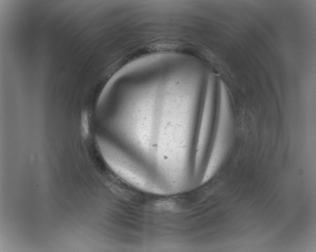 X0000064060075200602101541