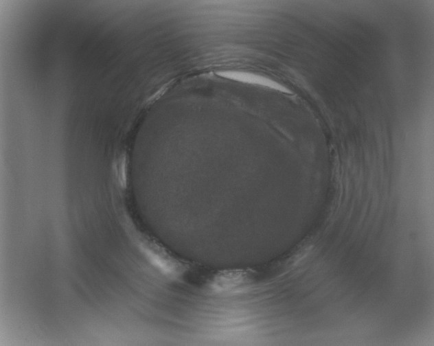 X0000064060076200602101541