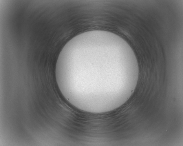 X0000064060077200602101541