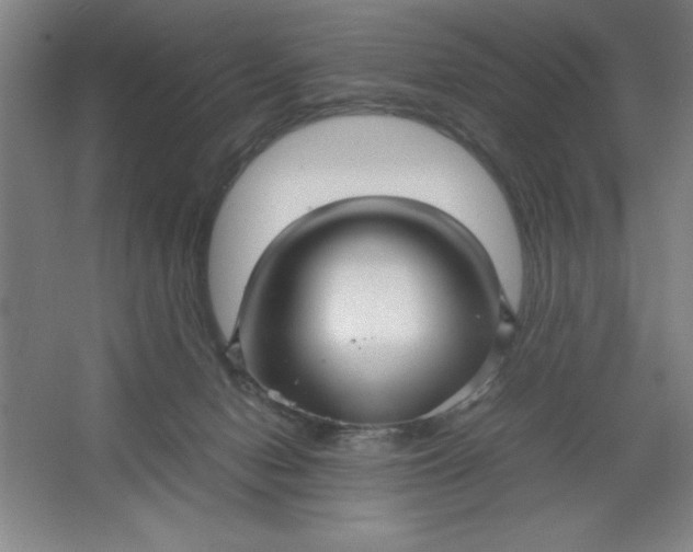 X0000064060078200602101541