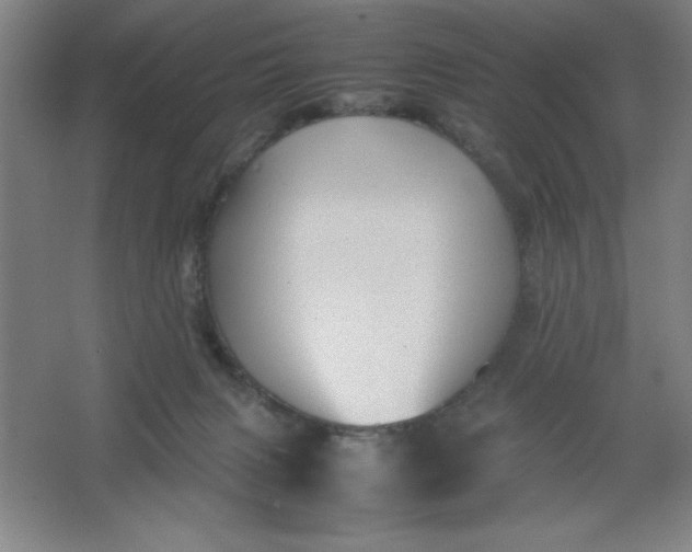 X0000064060079200602101541
