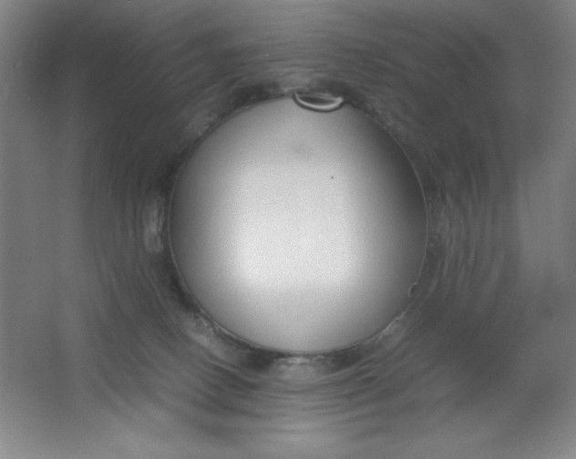 X0000064060082200602101541