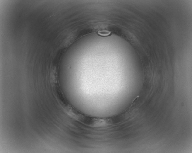X0000064060083200602101541