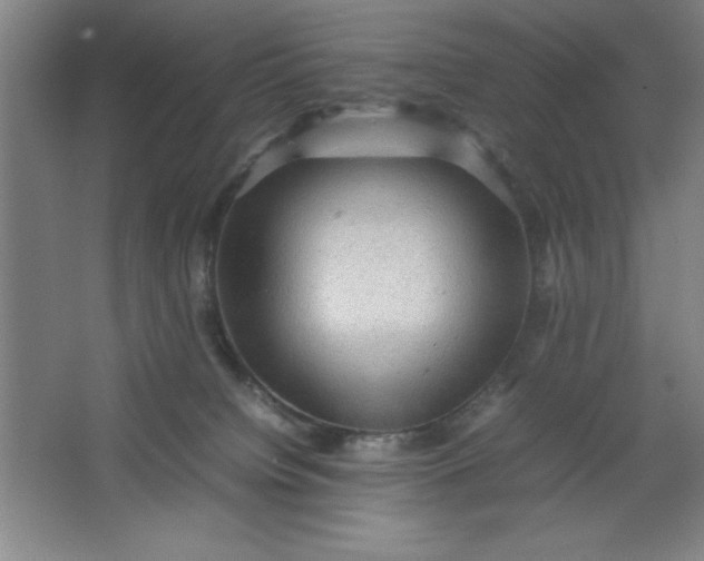 X0000064060084200602101541