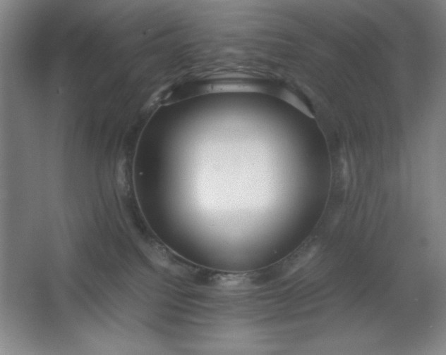 X0000064060088200602101541