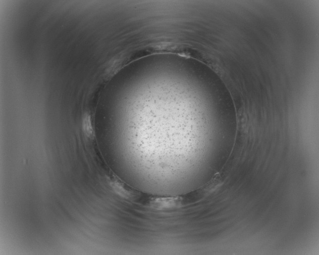 X0000064060089200602101541