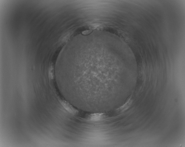 X0000064060090200602101541