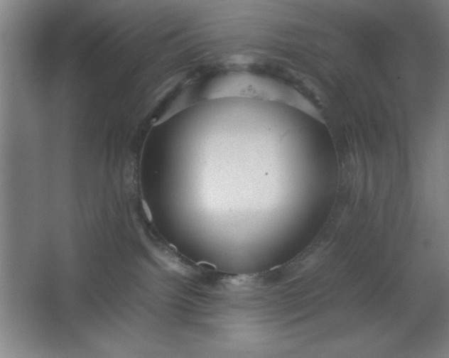 X0000064060092200602101541