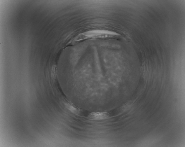 X0000064060093200602101541