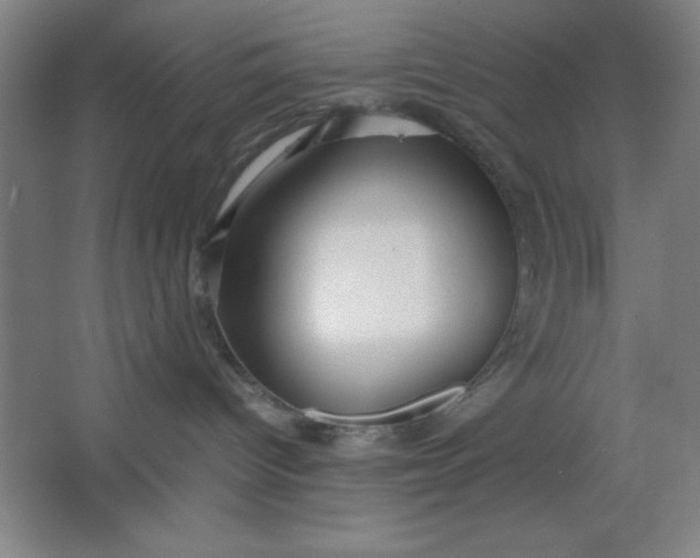X0000064060096200602101541
