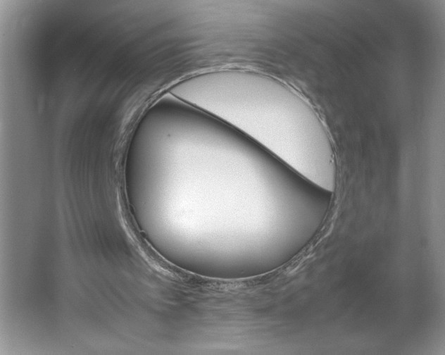 X0000064060097200602101541