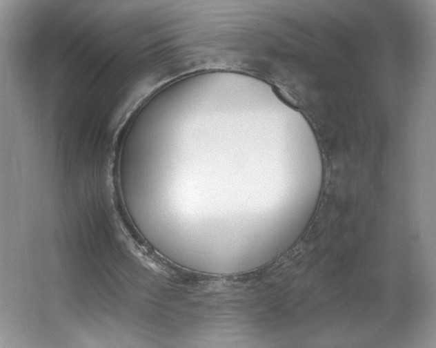 X0000064060098200602101541